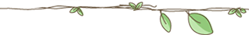 赛22.png